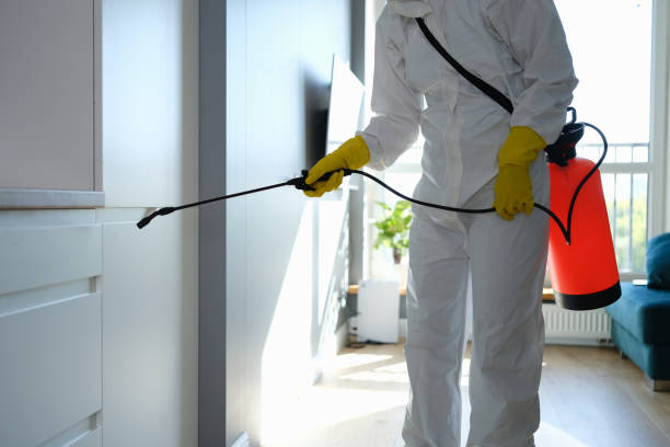 Best Mold Cleaning Services  in Yorkvle, IL