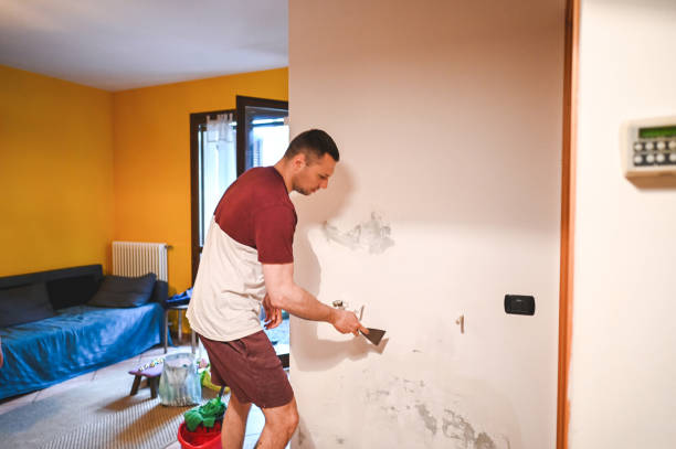 Best Residential Mold Removal  in Yorkvle, IL